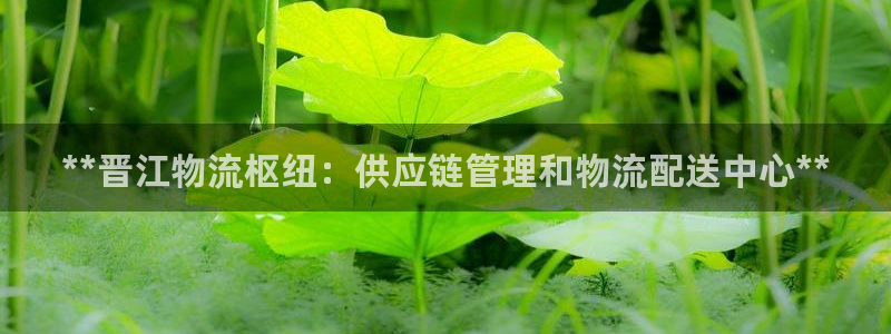 28圈充值不到账什么原因