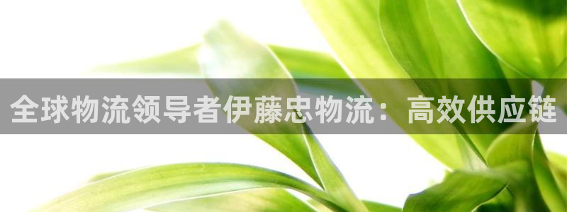 28圈预测加拿大师准