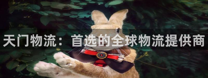 28圈注册平台：天门物流：首选的全球
