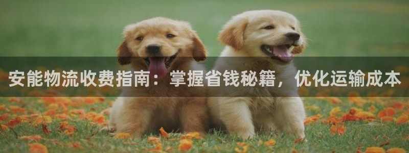 28圈下载二维码：安能物流收费指南：