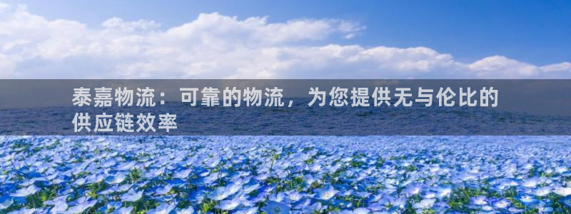 28圈.ccm正版