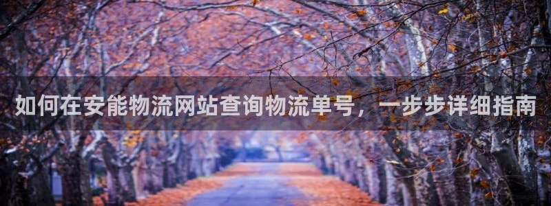 28圈黑款