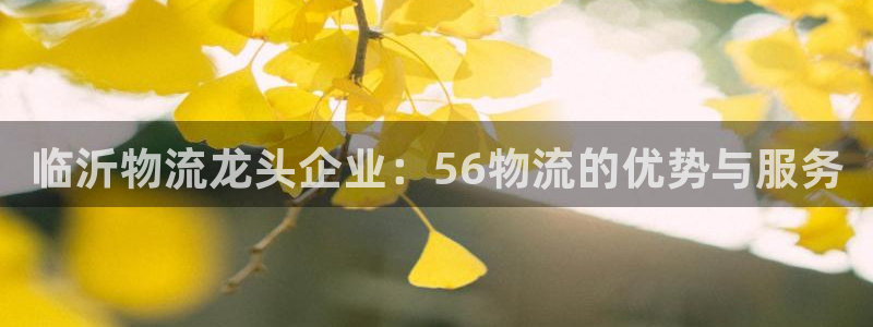 28圈是正规平台吗：临沂物流龙头企业
