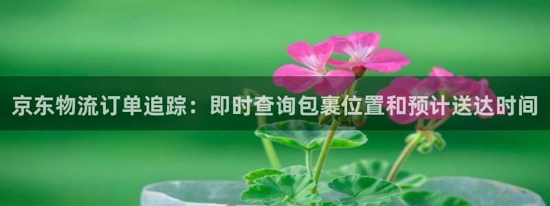 28圈.ccm2024