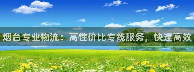 28圈合法吗：烟台专业物流：高性价比
