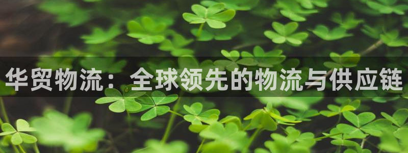 28圈农业银行是狗卡吗：华贸物流：全