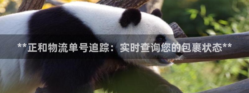 28圈玩法：**正和物流单号追踪：实
