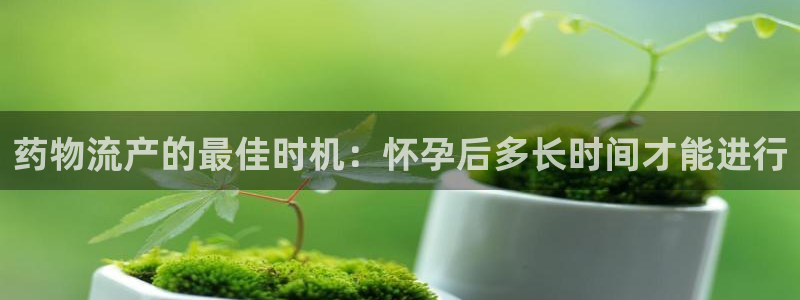 28圈起来的符号：药物流产的最佳时机