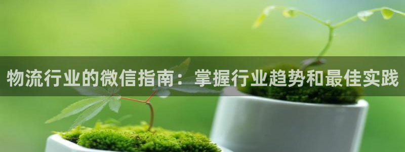28圈退款教程