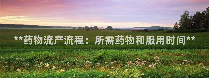 28圈pg麻将胡了