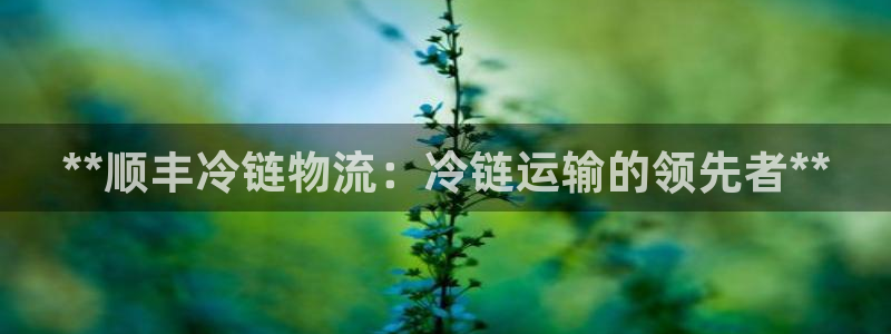 28圈能赢钱吗
