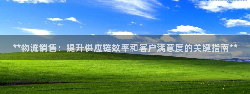 28圈如何看计划：**物流销售：提升