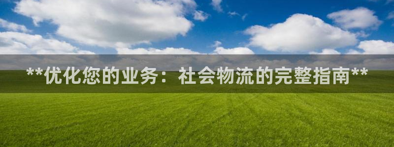 28圈注册：**优化您的业务：社会物