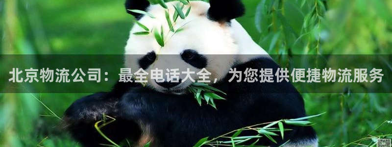28圈下载二维码