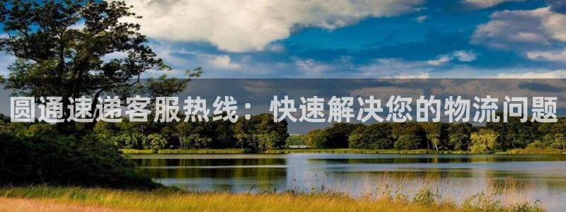 28圈软件总是闪退怎么回事：圆通速递