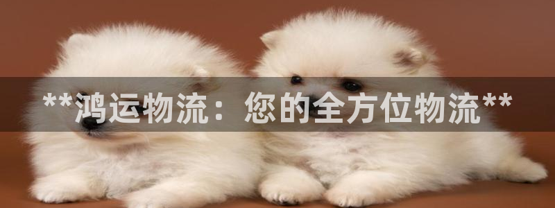 28圈官网预测