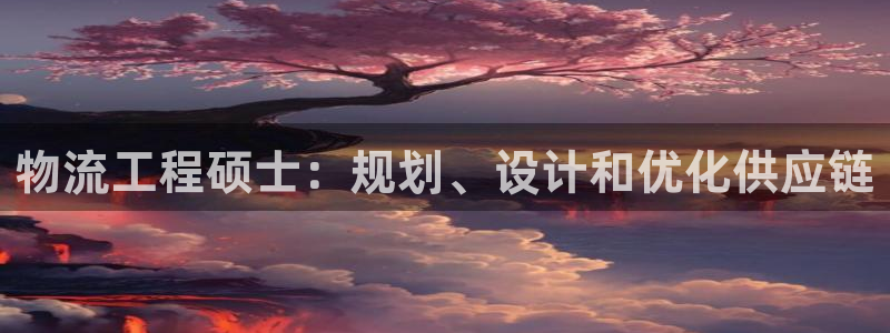 28圈.ccmpc28：物流工程硕士