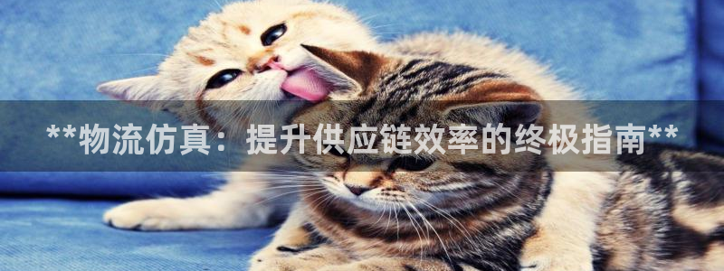 28圈退款教程