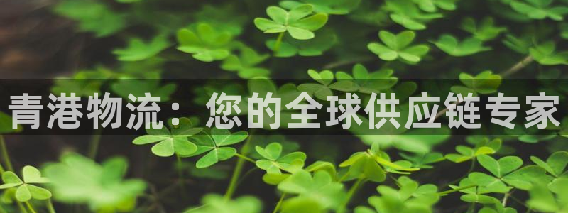 28圈官网注册：青港物流：您的全球供