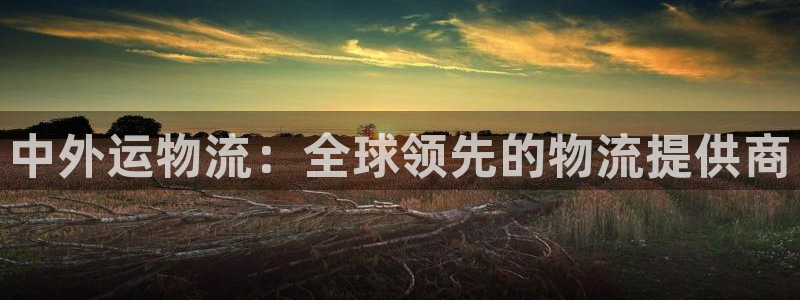 28圈怎么下载教程：中外运物流：全球