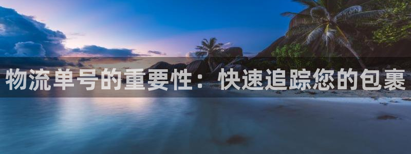 28圈防失联网址：物流单号的重要性：