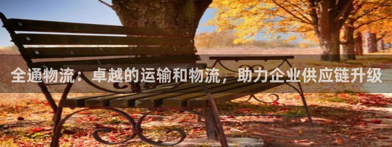 28圈.ccm：全通物流：卓越的运输