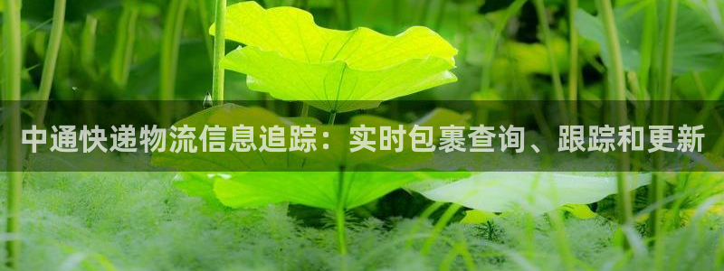 28圈怎么下载不了：中通快递物流信息