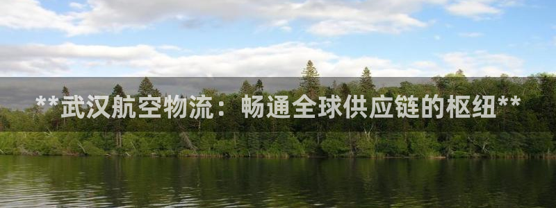 28圈怎么注册下载：**武汉航空物流