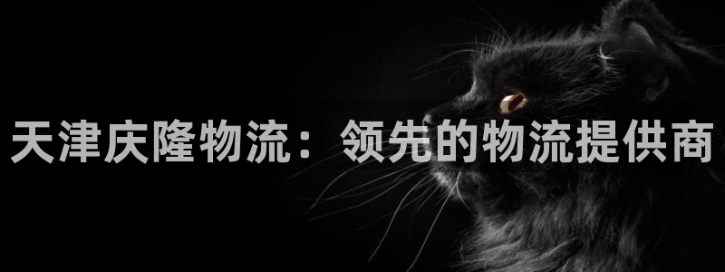 28圈怎么注册游戏名字：天津庆隆物流