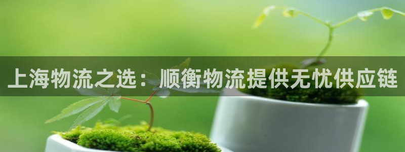 28圈v6能卖多少