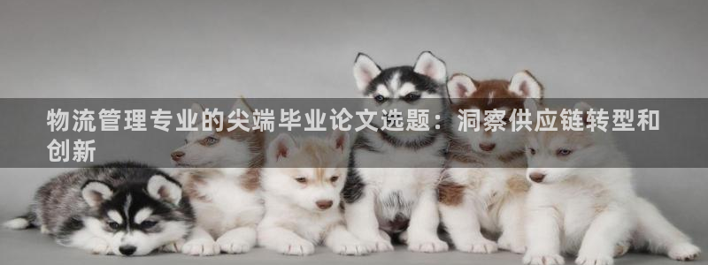 28圈头像：物流管理专业的尖端毕业论