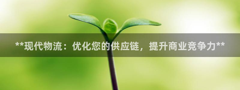 28圈注册网站APP：**现代物流：