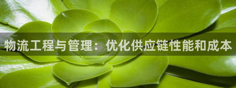 28圈.ccmapp：物流工程与管理