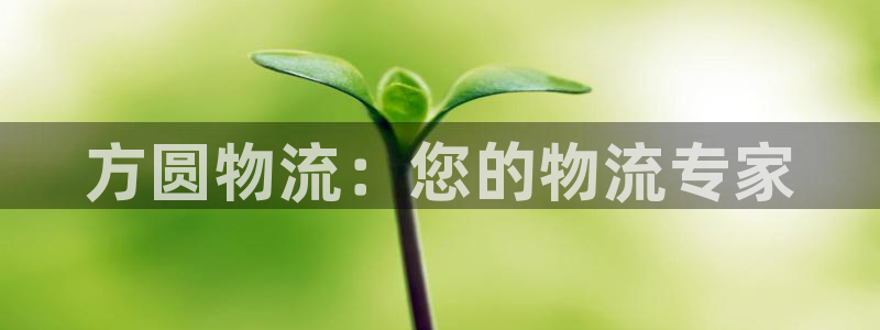 28圈加拿大6.0：方圆物流：您的物