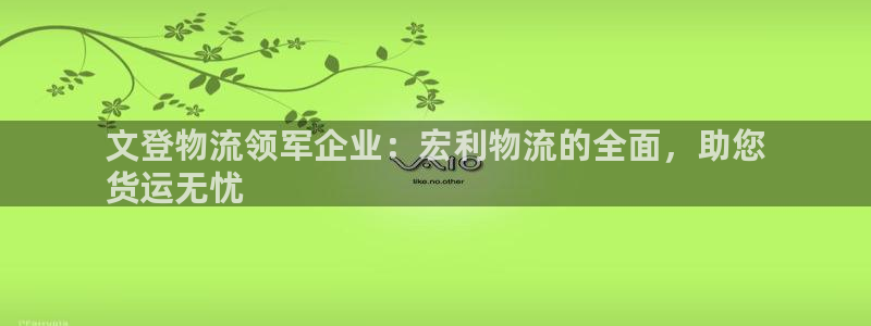 28圈官网版2024：文登物流领军企