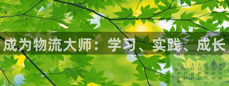 28圈注册入口与教程：成为物流大师：