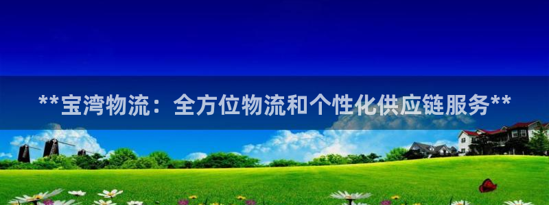 28圈是啥：**宝湾物流：全方位物流