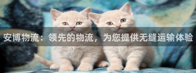 28圈绿骨头