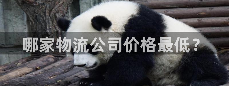 28圈图片：哪家物流公司价格最低？