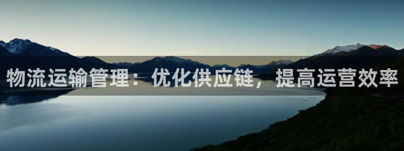 28圈cn：物流运输管理：优化供应链