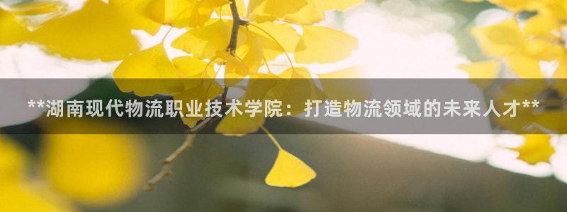 28圈.ccm南宫：**湖南现代物流