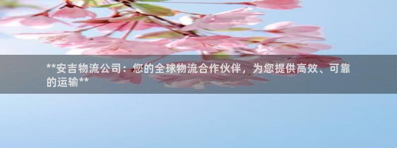 28圈在线预测官网：**安吉物流公司
