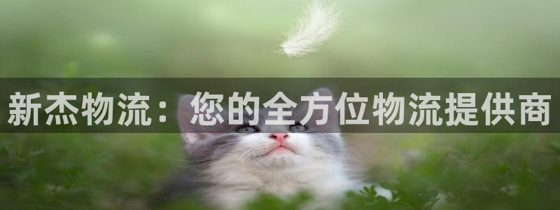 28圈官网链接