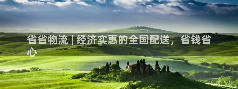 28圈注册用户名是什么：省省物流 |