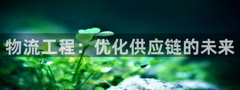 28圈玩法：物流工程：优化供应链的未