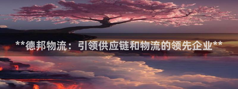 28圈官网版下载：**德邦物流：引领