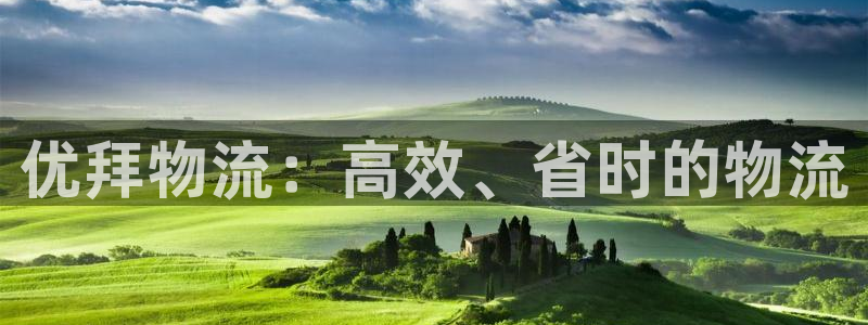 28圈注册问一问：优拜物流：高效、省