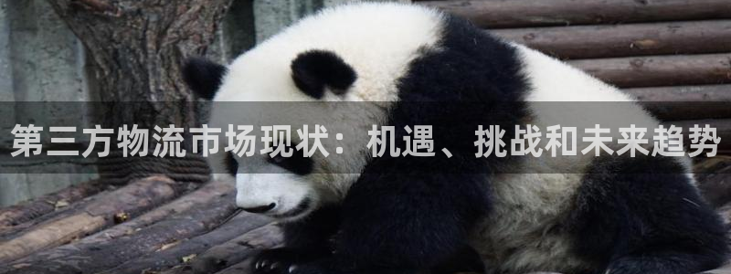28圈注册流程：第三方物流市场现状：
