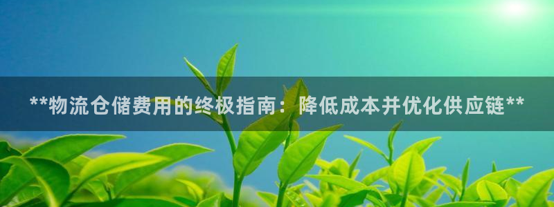 28圈软件