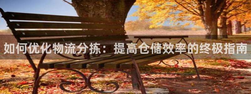 28圈加拿大技巧：如何优化物流分拣：